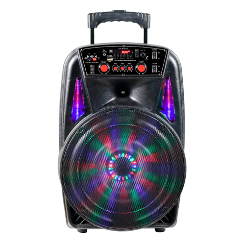 Акустическая система Avcrowns CH-8613